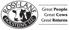 Rosy Lane Holsteins LLC